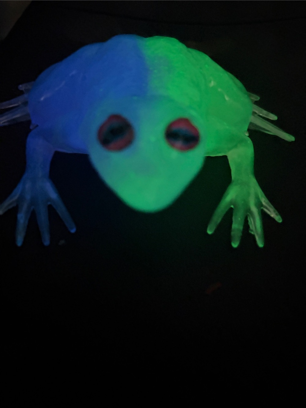Handmade Glow in the Dark Frog Green & Purple - Picture 2 of 5